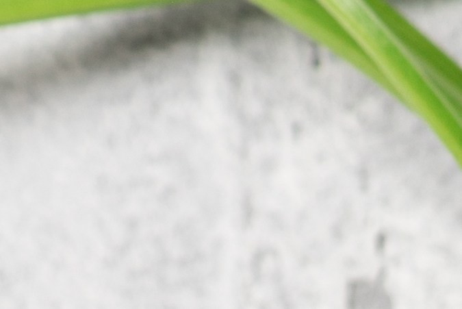 Incluye la cúrcuma en tu alimentación de platillos salados.