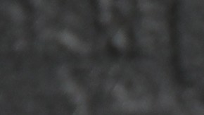 La cúrcuma debe formar parte de tu alimentación para cuidar tu salud.