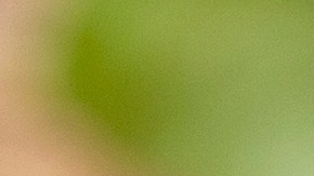 Cuida tu salud al tomar bebidas que aumenten los niveles de hemoglobina.