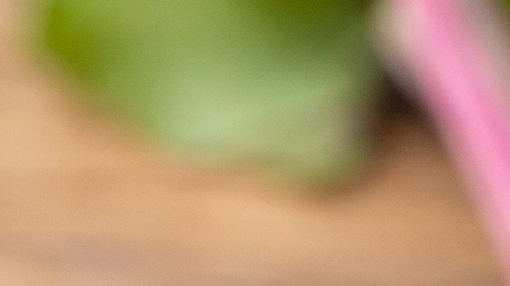 Cuida tu salud al tomar bebidas que aumenten los niveles de hemoglobina.