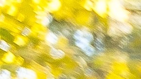 Familias latinas celebran el Mes de la Herencia Hispana en Estados Unidos.