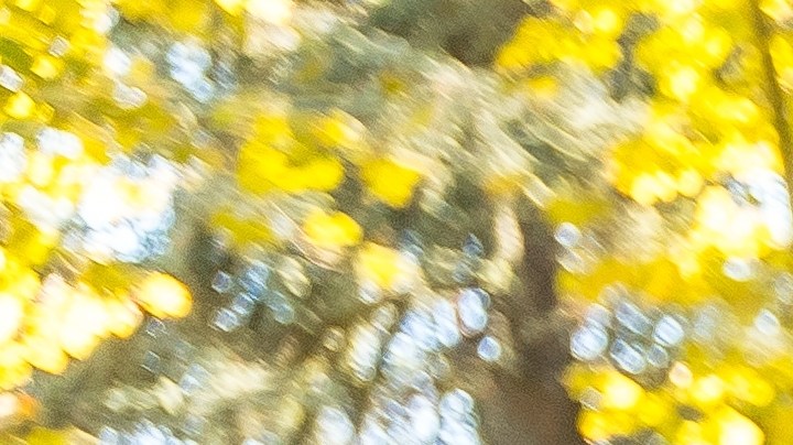 Familias latinas celebran el Mes de la Herencia Hispana en Estados Unidos.