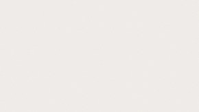 Si tienes mascotas y plantas en tu hogar, debes asegurarte de que estas últimas sean pet friendly.