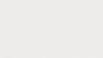 Si tienes mascotas y plantas en tu hogar, debes asegurarte de que estas últimas sean pet friendly.