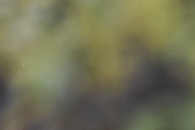 El Mes de la Herencia Hispana se celebra cada año del 15 de septiembre al 15 de octubre.