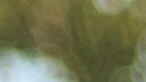 La atención plena puede influir positivamente en diferentes aspectos de la vida.