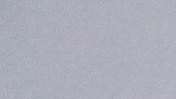 Hidrata tu cabello para mantener su aspecto saludable.