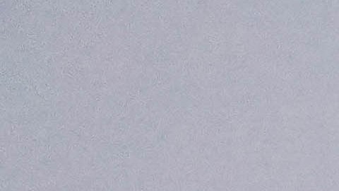 Hidrata tu cabello para mantener su aspecto saludable.