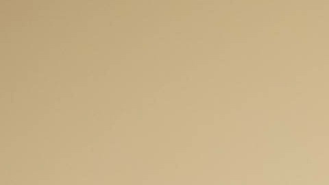 Limpia tu armario para cuidar las piezas que guardes en él.