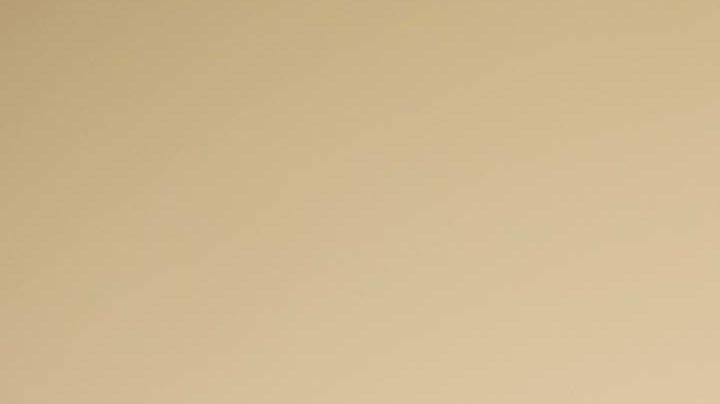 Limpia tu armario para cuidar las piezas que guardes en él.