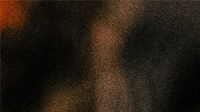 Google Frightgeist identificó las tendencias en decoración de Halloween de este 2025.