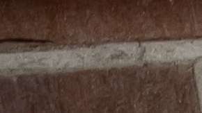 La amistad es la base de un buen matrimonio a largo plazo.