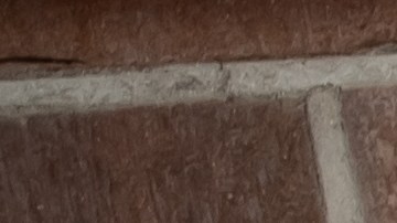 La amistad es la base de un buen matrimonio a largo plazo.