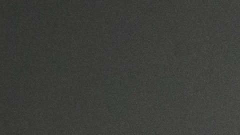 Las abuelas latinas priorizan el tener plantas en su hogar.