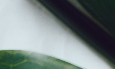 El Scalp First es la técnica ideal para cuidar el cabello.