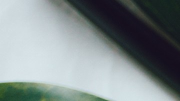 El Scalp First es la técnica ideal para cuidar el cabello.