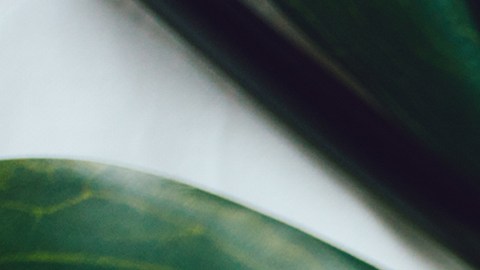 El Scalp First es la técnica ideal para cuidar el cabello.