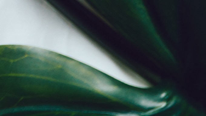 El Scalp First es la técnica ideal para cuidar el cabello.