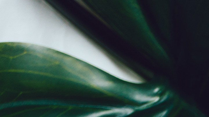 El Scalp First es la técnica ideal para cuidar el cabello.