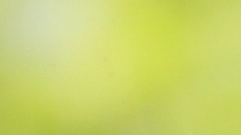 Las ventanas deben limpiarse con paños de algodón para evitar rayones.