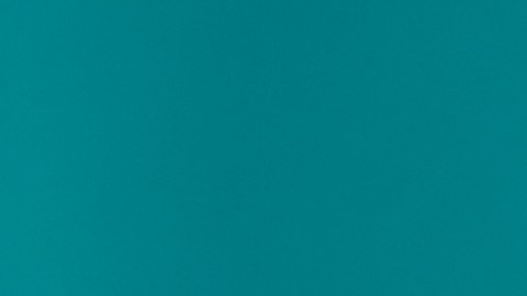 El TOC debe tratarse con medicamentos, acompañamiento psicológico y un estilo de vida saludable.