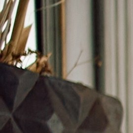 El Día de Acción de Gracias reúne a las familias por sus tradiciones.