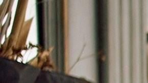 El Día de Acción de Gracias reúne a las familias por sus tradiciones.