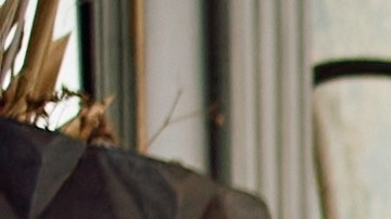 El Día de Acción de Gracias reúne a las familias por sus tradiciones.