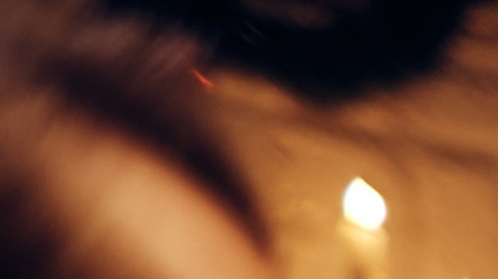 El día de Acción de Gracias debe celebrarse con un banquete especial.