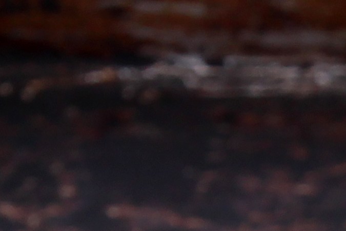 Comer frutas, como las manzanas, bananas y kiwis, favorece el sueño.