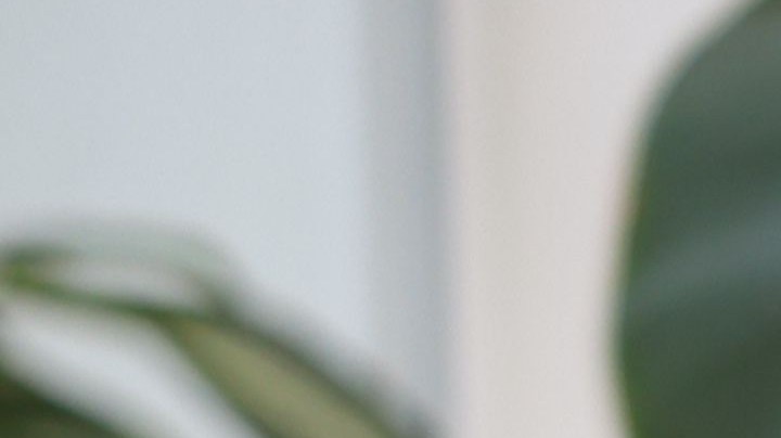 Usa el Feng Shui a tu favor para a atraer la prosperidad a tu hogar.