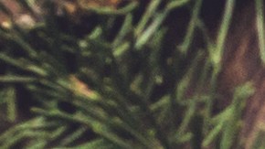 La decoración en Navidad es muy importante para atraer la buena energía.