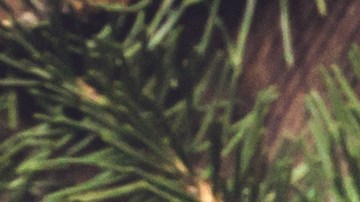 La decoración en Navidad es muy importante para atraer la buena energía.