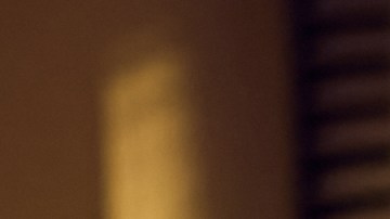 Prepara tus mejores platillos para la cena de Año Nuevo en familia.