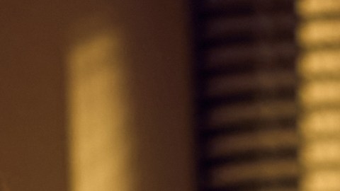 Prepara tus mejores platillos para la cena de Año Nuevo en familia.