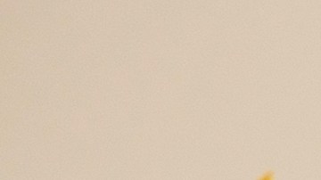 Celebra el Año Nuevo con un look lleno de intención.