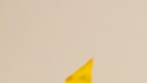 Celebra el Año Nuevo con un look lleno de intención.