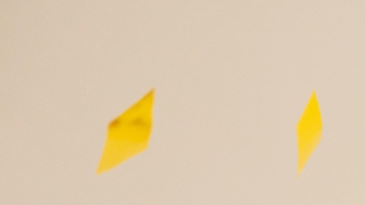 Celebra el Año Nuevo con un look lleno de intención.