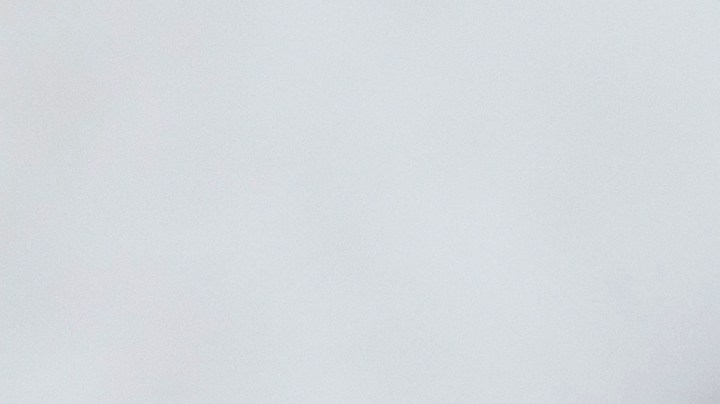 Los colores en el cabello fueron una fuerte tendencia este 2025.