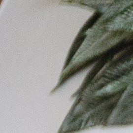 La herencia cultural africana y el estilo bohemio se apoderan de las tendencias para el hogar 2026.