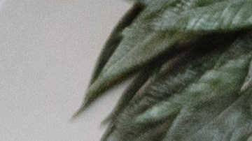 La herencia cultural africana y el estilo bohemio se apoderan de las tendencias para el hogar 2026.