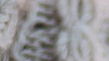 Las galletas de Navidad son un postre tradicional para muchas familias.