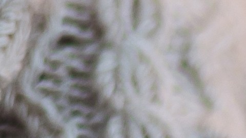 Las galletas de Navidad son un postre tradicional para muchas familias.