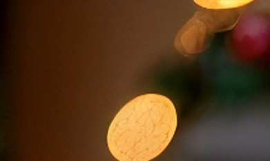 Las tendencias en decoración Navideña de este 2025 destacan por sus estilos y colores.