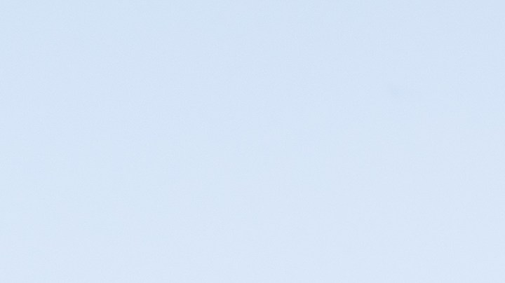 El 12 de diciembre es considerado como un día especial para manifestar.