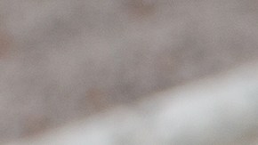 Google destacó las recetas más buscadas en el periodo de 2025.