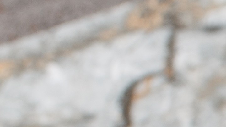 Google destacó las recetas más buscadas en el periodo de 2025.