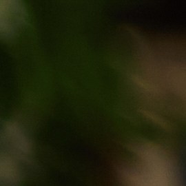 Los padres deben ayudar a sus hijos a trabajar en su autoestima.