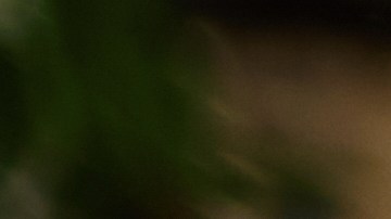 Los padres deben ayudar a sus hijos a trabajar en su autoestima.