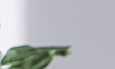 Reduce la inflamación en el cuerpo con hábitos saludables.